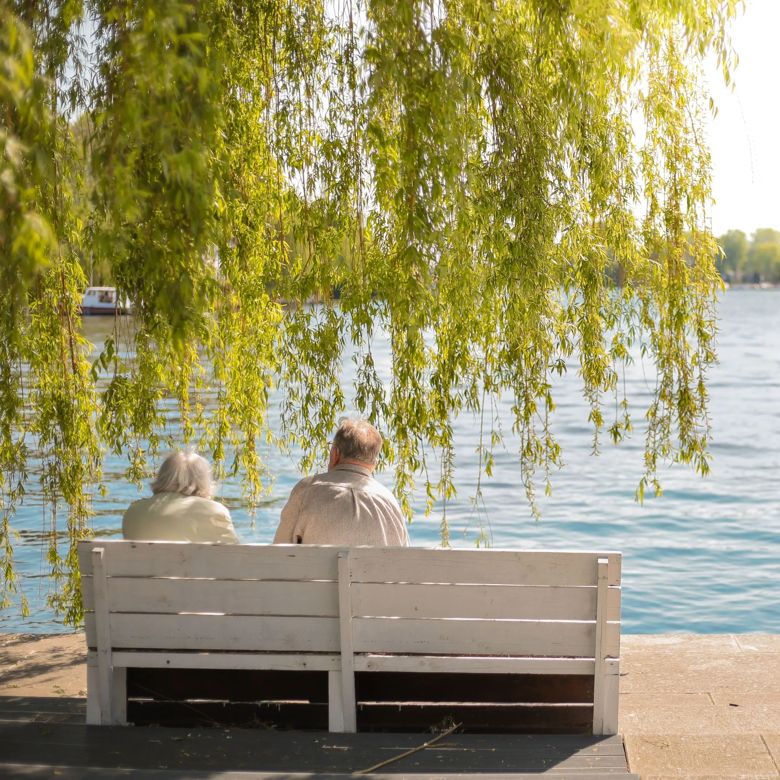 Two elderly people sit on a white bench by a lake, discussing their special savings account, under hanging tree branches, enjoying a peaceful, sunny day.